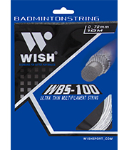 WBS-100